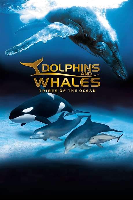 IMAX Dolphins and Whales: Tribes of the Ocean